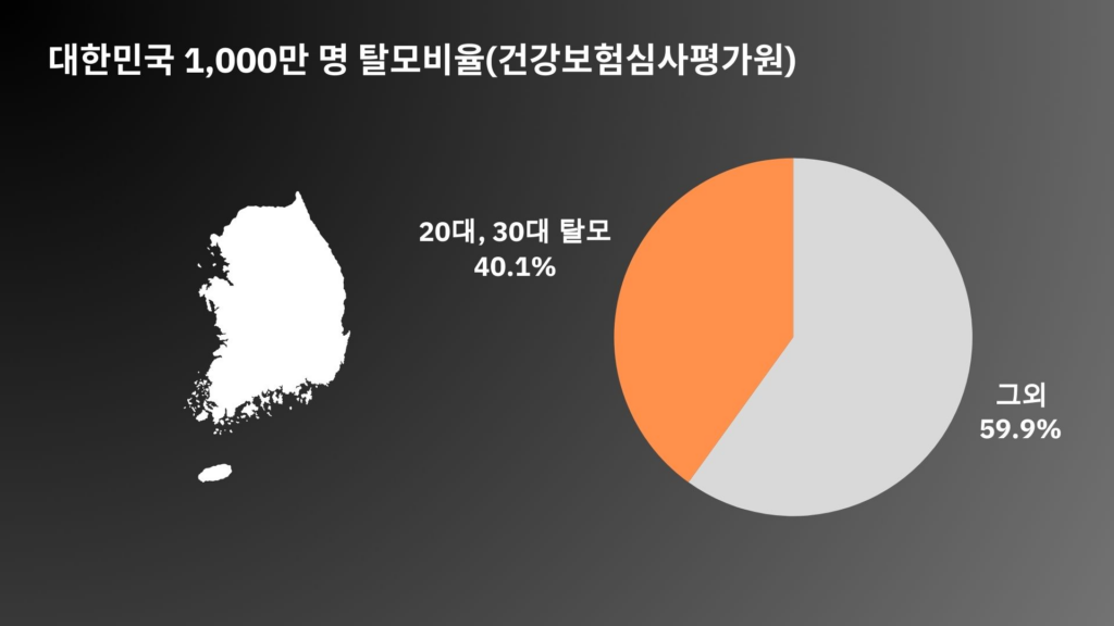 20대-탈모-비율